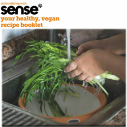In the Kitchen with sense* recipe book (Free)